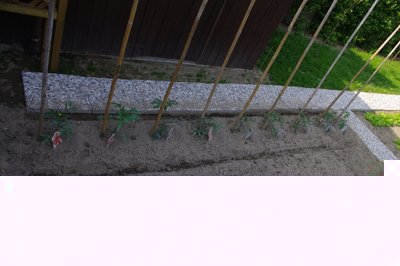 IMGP0962.JPG (149.88 KiB) Osservato 2036 volte IMGP0962.JPG