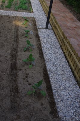 IMGP0963.JPG (148.85 KiB) Osservato 2036 volte IMGP0963.JPG