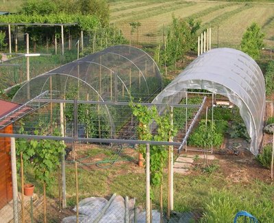 orto.JPG (164.64 KiB) Osservato 1184 volte orto.JPG