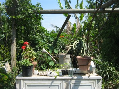 003.JPG (324.18 KiB) Osservato 892 volte 003.JPG