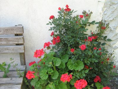 001.JPG (276.66 KiB) Osservato 892 volte 001.JPG