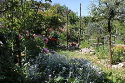 una parte del giardino.jpg (213.13 KiB) Osservato 4769 volte una parte del giardino.jpg