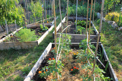 casse con prevalenza di orticole.jpg (227.19 KiB) Osservato 4769 volte casse con prevalenza di orticole.jpg