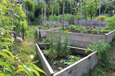 veduta dal basso.jpg (209.48 KiB) Osservato 4769 volte veduta dal basso.jpg