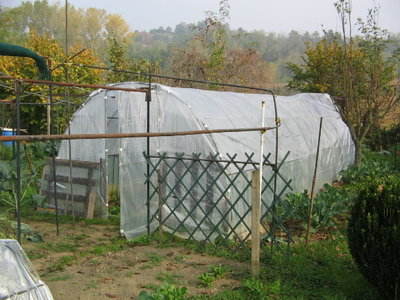 IMG_3873.JPG (88.82 KiB) Osservato 924 volte IMG_3873.JPG