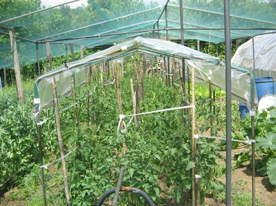 IMG_4302.JPG (119.76 KiB) Osservato 924 volte IMG_4302.JPG