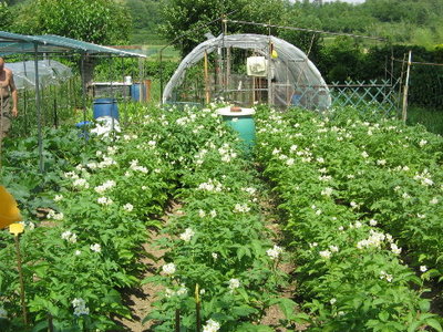 IMG_4309.JPG (97.69 KiB) Osservato 923 volte IMG_4309.JPG