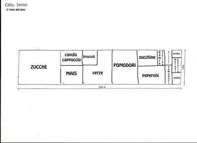 Immagine-orto-basso.jpg (27.28 KiB) Osservato 1041 volte Immagine-orto-basso.jpg