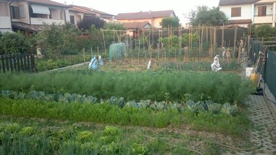 2013-06-13-0133.jpg (133.25 KiB) Osservato 819 volte 2013-06-13-0133.jpg