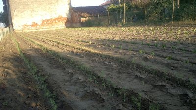 2013-08-30-0176.jpg (140.96 KiB) Osservato 819 volte 2013-08-30-0176.jpg