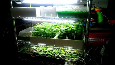 3 Marzo 2015 - 1 / Agraria1.jpg Agraria1.jpg