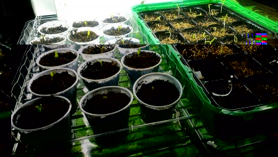 3 Marzo 2015 - 3 / Agraria3.jpg Agraria3.jpg