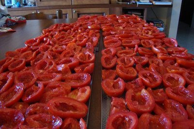 Li ho tagliati a metà e privati dei semi / DSC05066.JPG DSC05066.JPG