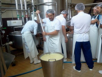 taglio con spino / allevi2.jpg allevi2.jpg