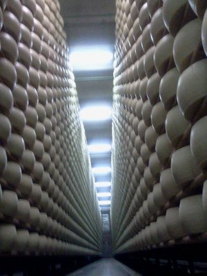 tutto in una notte.... / grana.jpg grana.jpg