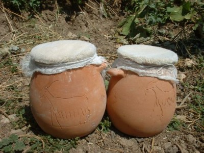 image.jpg (62.08 KiB) Osservato 1118 volte image.jpg