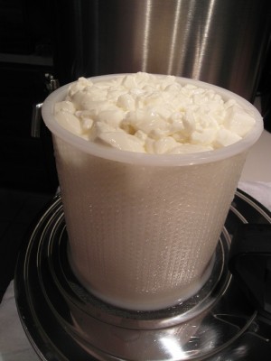 Rotondoleggio infuscellato.JPG (121.15 KiB) Osservato 955 volte Rotondoleggio infuscellato.JPG