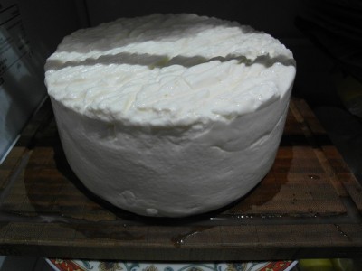 Rotondoleggio dopo salamoia.JPG (110.38 KiB) Osservato 955 volte Rotondoleggio dopo salamoia.JPG