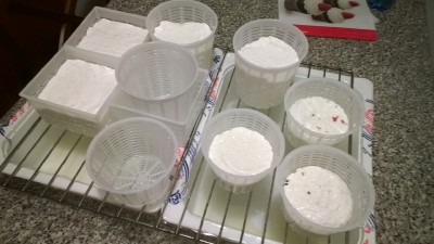 03.jpg (235.94 KiB) Osservato 1145 volte 03.jpg