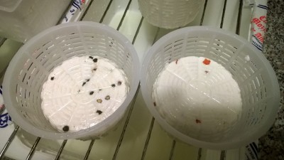 04.jpg (220.74 KiB) Osservato 1145 volte 04.jpg