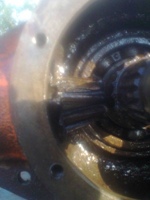 Foto0099.jpg (44.27 KiB) Osservato 7394 volte Foto0099.jpg