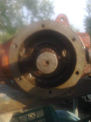 Foto0098.jpg (43.74 KiB) Osservato 7394 volte Foto0098.jpg