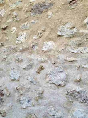 2131 IMG_1013.JPG (47.98 KiB) Osservato 988 volte 2131 IMG_1013.JPG