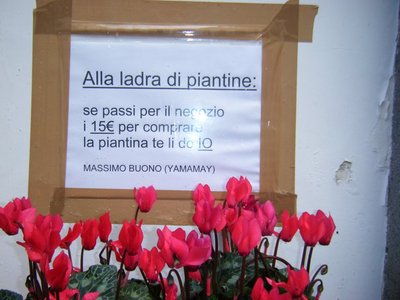 167317_171385562903595_144711705570981_338311_7964888_n (1).jpg (69.74 KiB) Osservato 592 volte 167317_171385562903595_144711705570981_338311_7964888_n (1).jpg