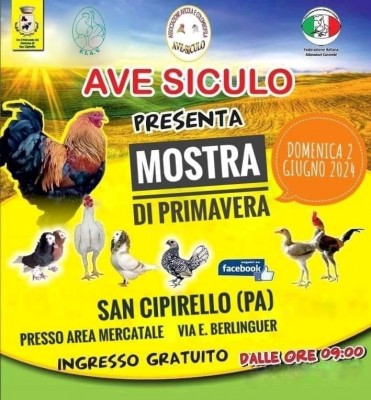 avesiculo.jpg (110.35 KiB) Osservato 758 volte avesiculo.jpg