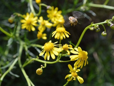 23073_141_PNGSL.jpeg (96.91 KiB) Osservato 1243 volte 23073_141_PNGSL.jpeg