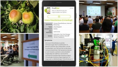 laimburg.jpg (58.37 KiB) Osservato 935 volte laimburg.jpg