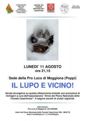 Copia di lupo moggiona.jpg (95.61 KiB) Osservato 816 volte Copia di lupo moggiona.jpg
