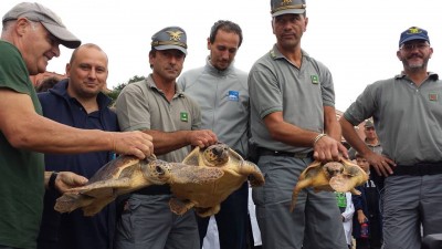 1926878_330258837154318_4040439953199351012_n.jpg (68.69 KiB) Osservato 775 volte 1926878_330258837154318_4040439953199351012_n.jpg