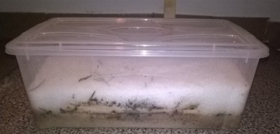 colonnata.jpg (34.7 KiB) Osservato 1777 volte colonnata.jpg