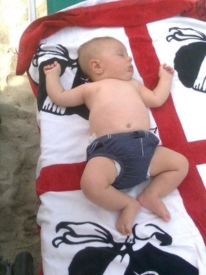 immag1150.jpg (60.64 KiB) Osservato 16942 volte immag1150.jpg