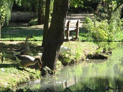 Immagine 126.JPG (132.26 KiB) Osservato 945 volte Immagine 126.JPG