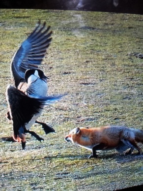 IMG_20140507_144001.jpg IMG_20140507_144001.jpg