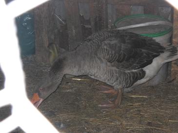 DSCN0271.JPG DSCN0271.JPG