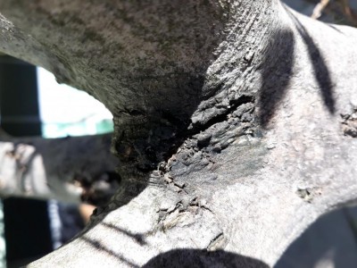 20200211_112805.jpg (120.02 KiB) Osservato 697 volte 20200211_112805.jpg