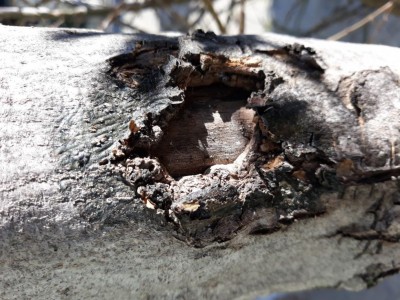 20200211_112800.jpg (146.18 KiB) Osservato 697 volte 20200211_112800.jpg