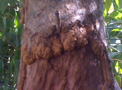 Immagine.jpg (125.9 KiB) Osservato 1849 volte Immagine.jpg