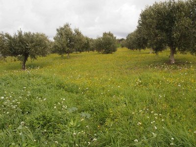 IMMAGINE2.jpg (151.63 KiB) Osservato 3140 volte IMMAGINE2.jpg