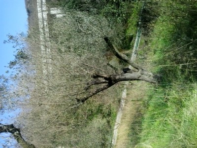 1.jpg (287.02 KiB) Osservato 1672 volte 1.jpg