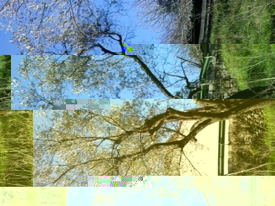 2.jpg (302.99 KiB) Osservato 1672 volte 2.jpg