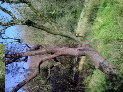 4.jpg (292.34 KiB) Osservato 1672 volte 4.jpg