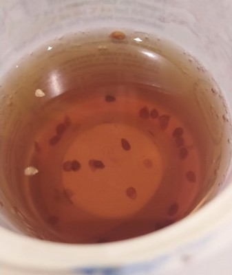 3.JPG (35.87 KiB) Osservato 1040 volte 3.JPG