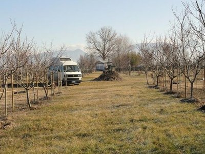 volkswagen.jpg (61.93 KiB) Osservato 1628 volte volkswagen.jpg