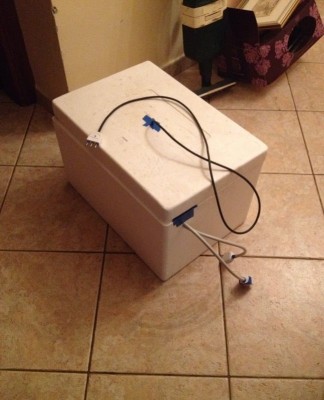 11076284_10205551579463076_6394405432361692417_n.jpg (124.89 KiB) Osservato 1352 volte 11076284_10205551579463076_6394405432361692417_n.jpg