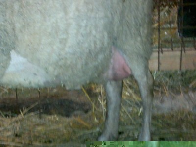 260220141430_800x600.jpg (83.5 KiB) Osservato 1213 volte 260220141430_800x600.jpg