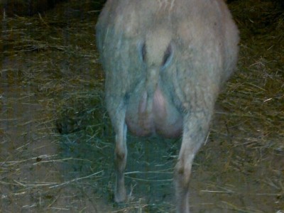 260220141432_800x600.jpg (98.46 KiB) Osservato 1213 volte 260220141432_800x600.jpg